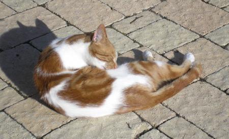 Derni�res nouvelles !!!